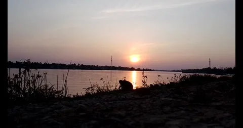 Release snails into the river Stock Footage 297725621