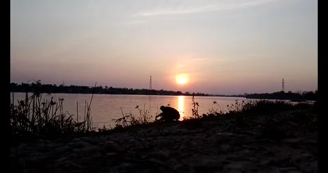 Release snails into the river Stock Footage 297725623