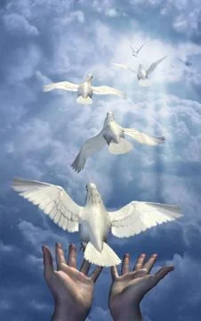 Releasing the Doves Stock Illustration