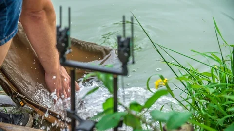 Releasing a fish back into the water  Stock Footage 112178664