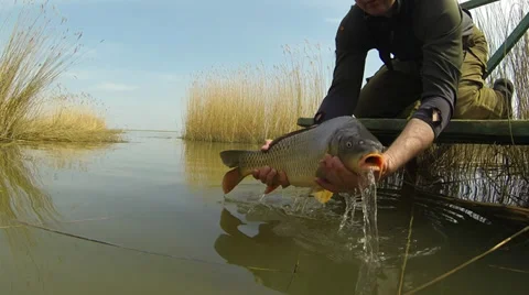 Releasing Stock Footage 36756997