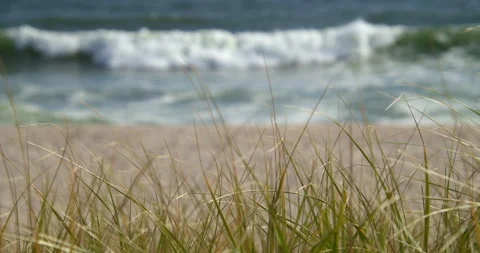 Relentless ocean surge eroding New Jersey Shore Beaches. Dunes, grass. Stock Footage 141707486