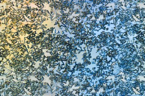 Relief Abstract Background. Blue leaf shape defocused pattern wallpaper. Illustrazione stock