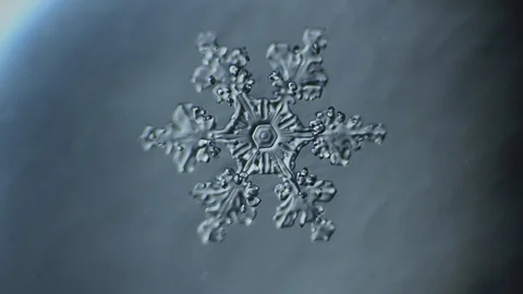Relief adorable fishnet snowflake Stock Footage 88451173