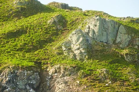 Relief and texture of stone with patterns and moss. Stock Photos