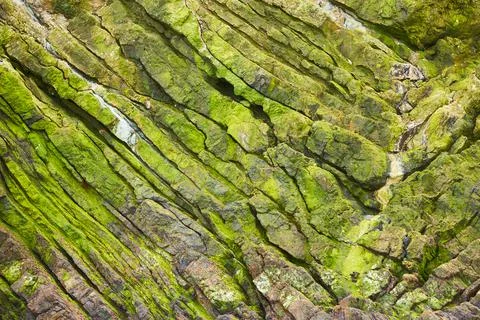 Relief and texture of stone with patterns and moss. Stock Photos