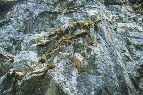Relief and texture of stone with patterns and moss Stock Photos