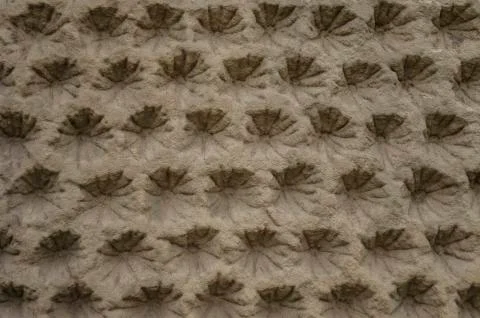 Relief pattern in sandstone Stock Photos