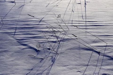 Relief of spring snow crust in bright sunlight Stock Photos