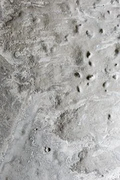 Relief surface cured concrete. Stock Photos