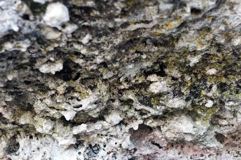 Relief surface of the rock Stock Photos