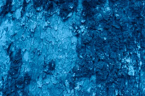 Relief texture of the bark of a tree. Trendy color of the year 2020. Stock Photos
