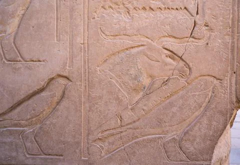 Reliefs on the wall at Karnak Temple Complex, Luxor, Egypt. Foto stock