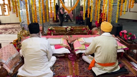 Religious ceremony inside gurdwara with priests reading guru granth sahib at Stock Footage 334560428
