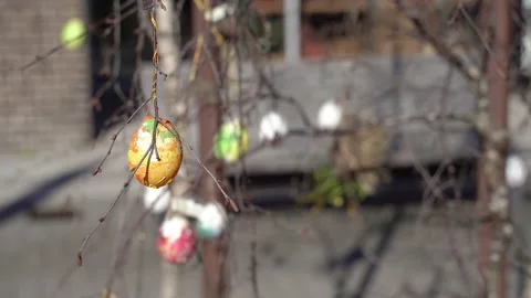 Religious holiday. Easter. Easter eggs hang on trees. Video stock 210284619
