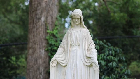 Religious Looking Statue Stock Footage 120798514