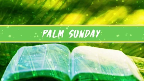 Religious Palm Sunday Title Background Stock Footage 71965267