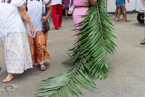 Religious procession with palm leaf on the ground Stock Photos