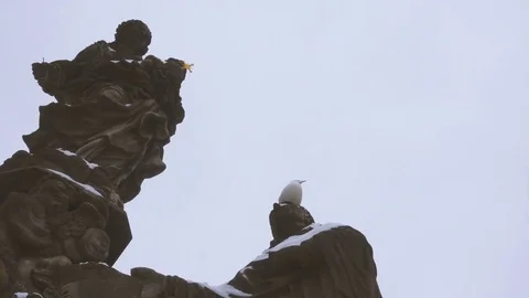 Religious Statues and Seagull in Prague's Charles Bridge Under the Snow Stock Footage 72099201