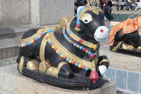 A Religious symbol of Bull known  as Nandi in black stone in India. Stock Photos