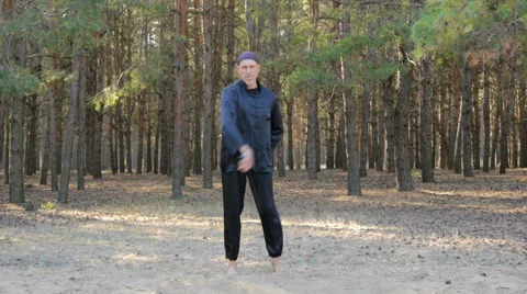 Rem Plugatar.Master of wushu,wu hsing (five elements)from Ukraine Stock Footage 43064651