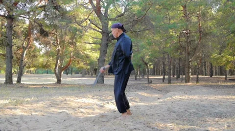 Rem Plugatar.Master of wushu,wu hsing (five elements)from Ukraine Stock Footage 43065917