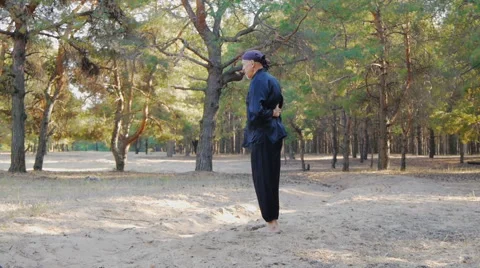 Rem Plugatar.Master of wushu,wu hsing (five elements)from Ukraine Stock Footage 43068758