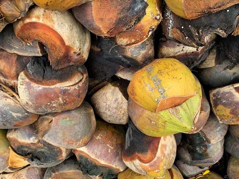 The remaining coconut shell is used as fuel for roasting. also known as Cocon Stock Photos