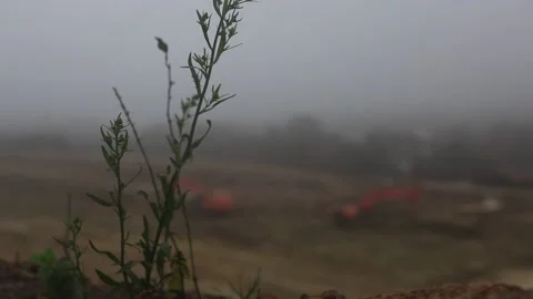 Remaining image of cutting trees and vegetation during road construction Stock Footage 148664797