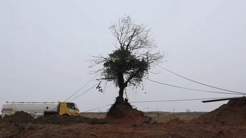 Remaining image of cutting trees and vegetation during road construction Stock Footage 148665094