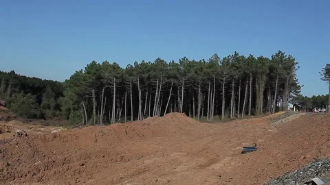 Remaining image of cutting trees and vegetation during road construction Stock Footage 148665130