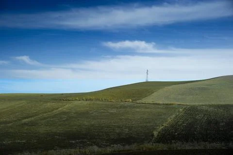 The remaining lush Stock Photos