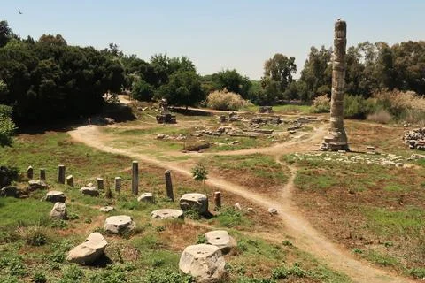 The remaining structures of the Temple of Artemis in Selcuk, near Ephesus, Tu Foto stock