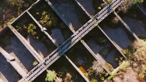 Remains Of Abandoned Structure Amidst Forest Trees Stock Footage 300363078