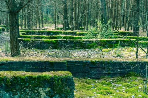 The remains of ancient ancient structures in the forest. The ruins are covere Stock Photos