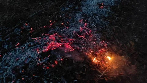 The remains of ash from a fire of dry branches and leaves №2 Stock Footage 332047414
