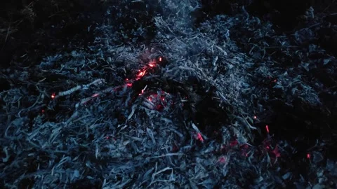 The remains of ash from a fire of dry branches and leaves №3 Stock Footage 332047456