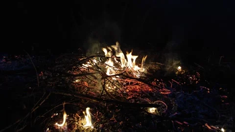 The remains of ash from a fire of dry branches and leaves №1 Stock Footage 332047487