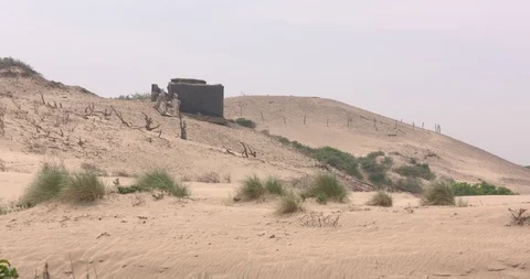 Remains of atlantic wall bunker complex in dune landscape Stock Footage 90175746