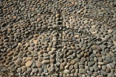 Remains of the bone inserts of a colonial cobblestone Stock Photos