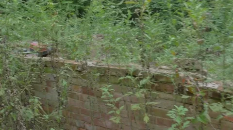 Remains of brick structure covered in overgrowth Stock Footage 57398746