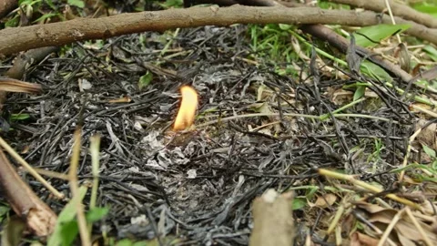 Remains of burning twigs with small waving flame on top of black ash pile Stock Footage 330050193