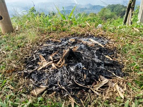 The Remains Of A Campfire Stock Photos
