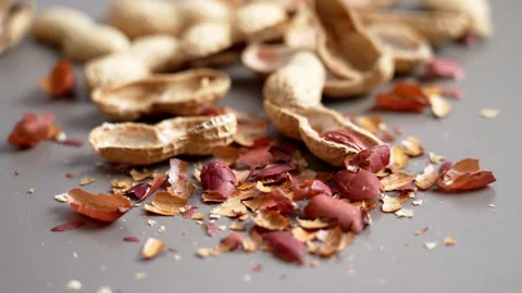 The remains of cracked roasted peanut shells Video stock 331803181