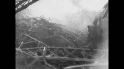 Remains of crashed USS Shenandoah airship Stock Footage 43336589