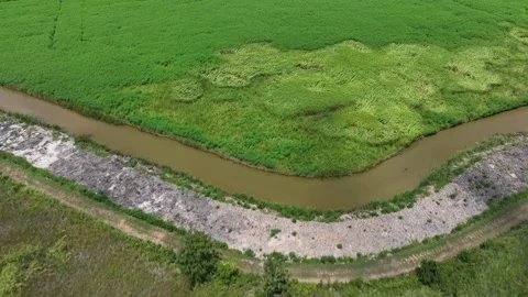Remains of historic rice fields in Santee river delta Georgetown SC Stock Footage 204801424