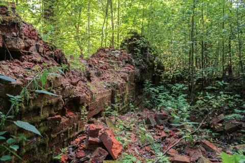 Remains of old brickwork in the forest. Stock Photos