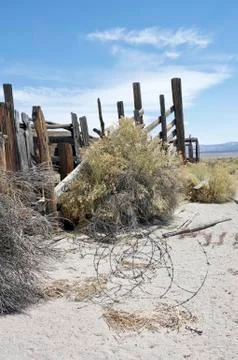 Remains of an old rustic cattle ranch Stock Photos
