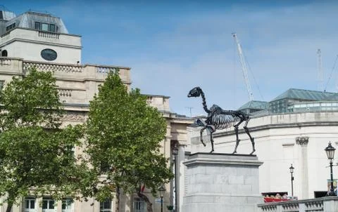 Remains Stock Photos