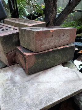 The remains of red bricks piled next to the trees. Stock Photos
